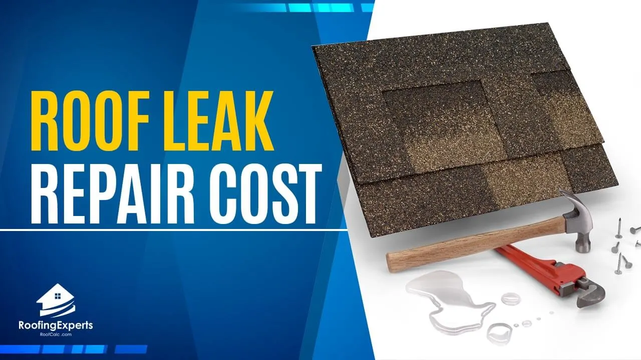 Roof Leak Repair Cost