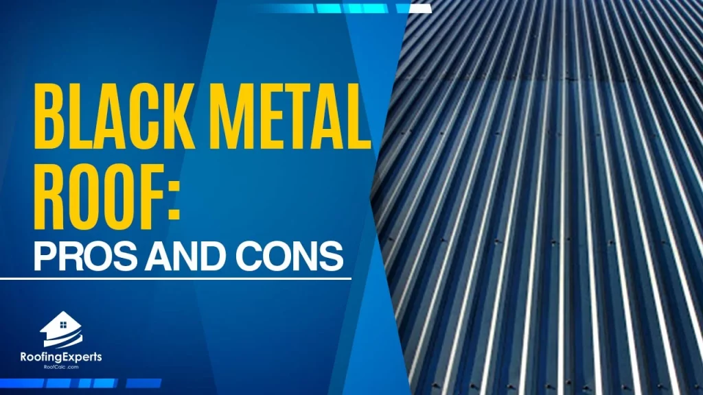 Black Metal Roof | Pros and Cons