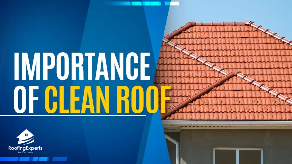 keeping your roof clean know how important it is
