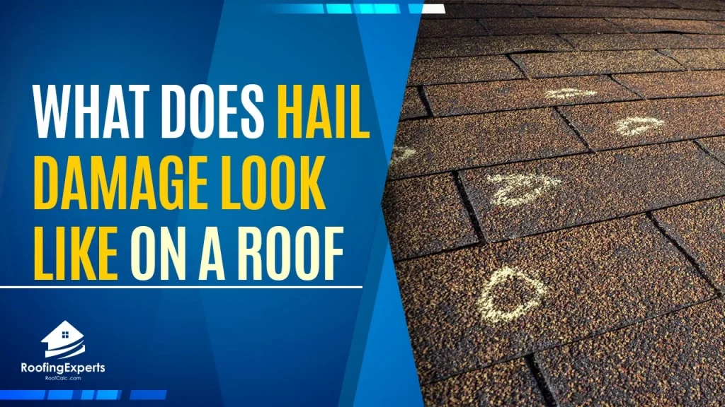 What Does Hail Damage Look Like on a Roof | Helpful Insight