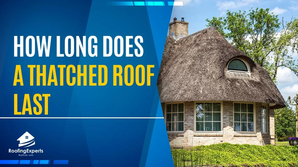 How Long Does a Thatched Roof Last | Pros & Cons