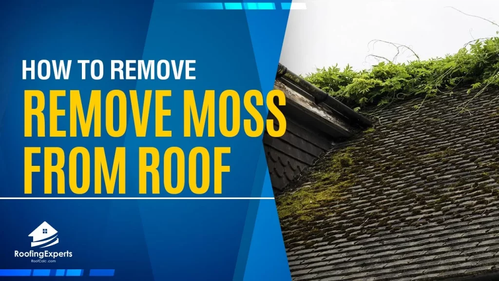 how to remove moss from roof