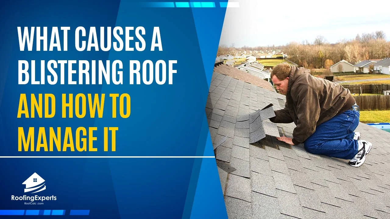 what causes a blistering roof and how to manage it
