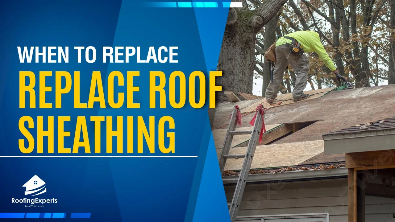 when to replace roof sheathing and what does it do