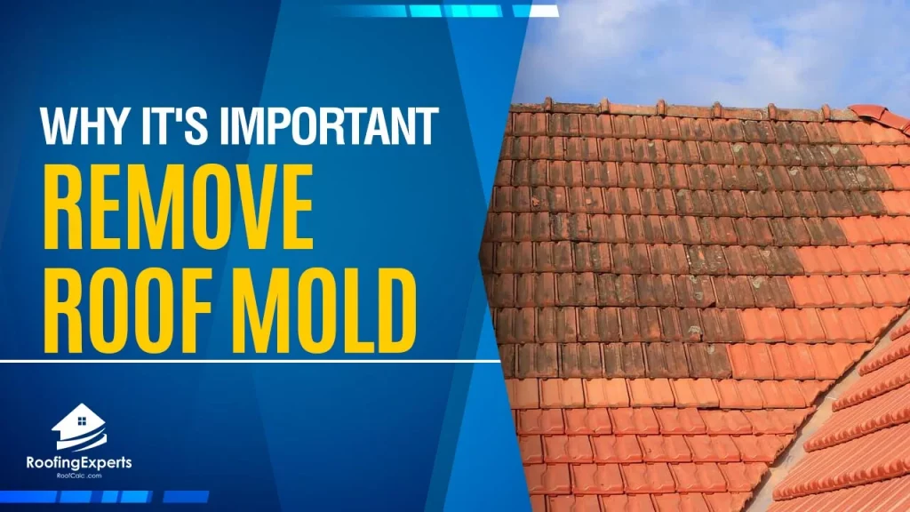 why its important to remove roof mold
