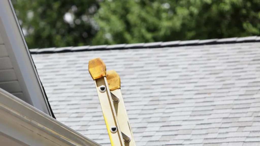 Gutter Cleaning and Maintenance: Choosing the Proper Ladder for the Job