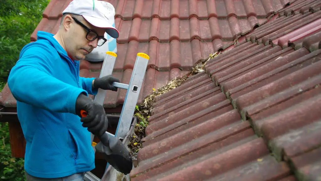Choosing the Right Ladder for Gutter Cleaning and Maintenance