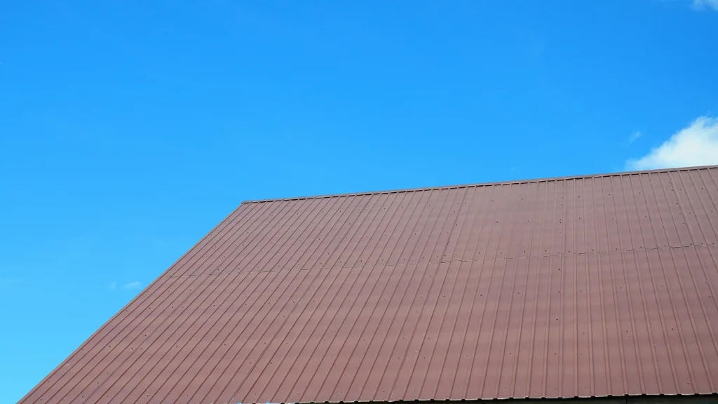Best Type of Metal Roof for Residential Roofing