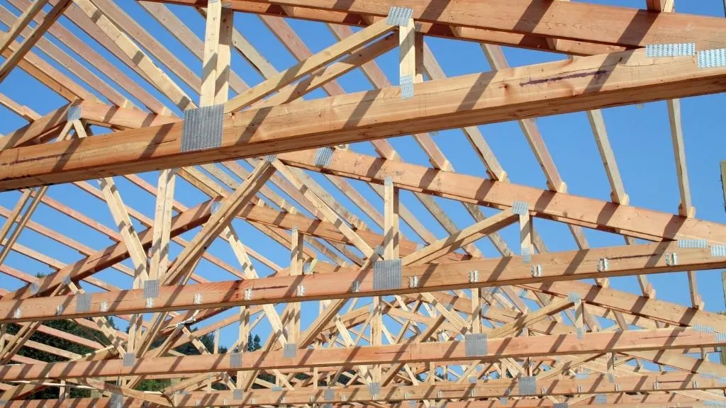 Deciding Between Rafters Vs Trusses | Pros and Cons