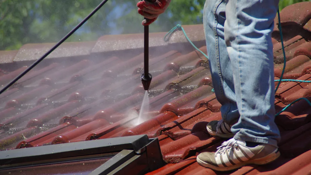 Importance of A Clean Roof | Helpful Tips & Insight