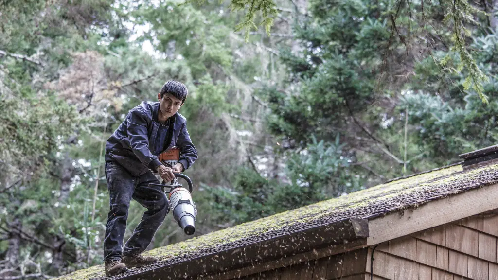 Using a Leaf Blower to Clean Your Gutters