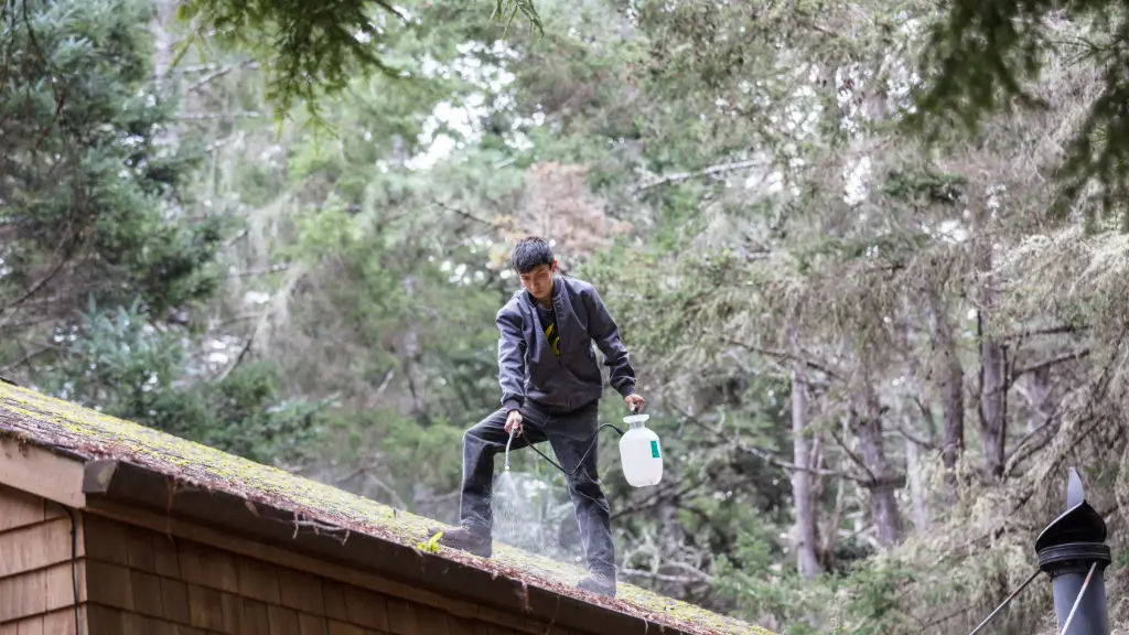 How to Remove Moss From Roof