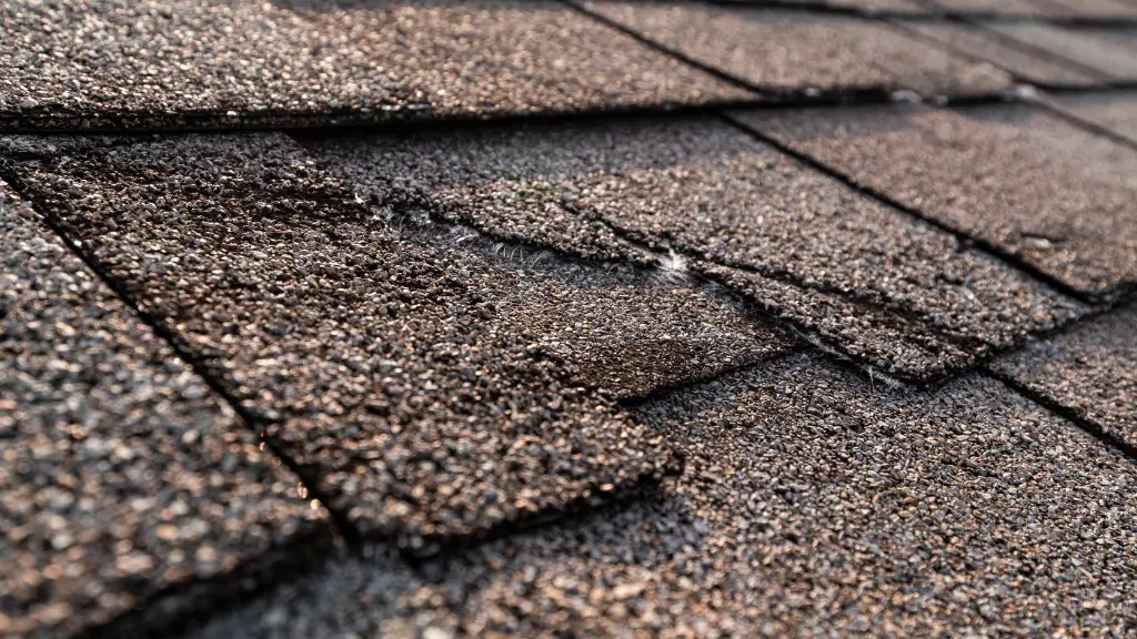 A close-up of a torn residential asphalt shingled roof exposing the fiberglass