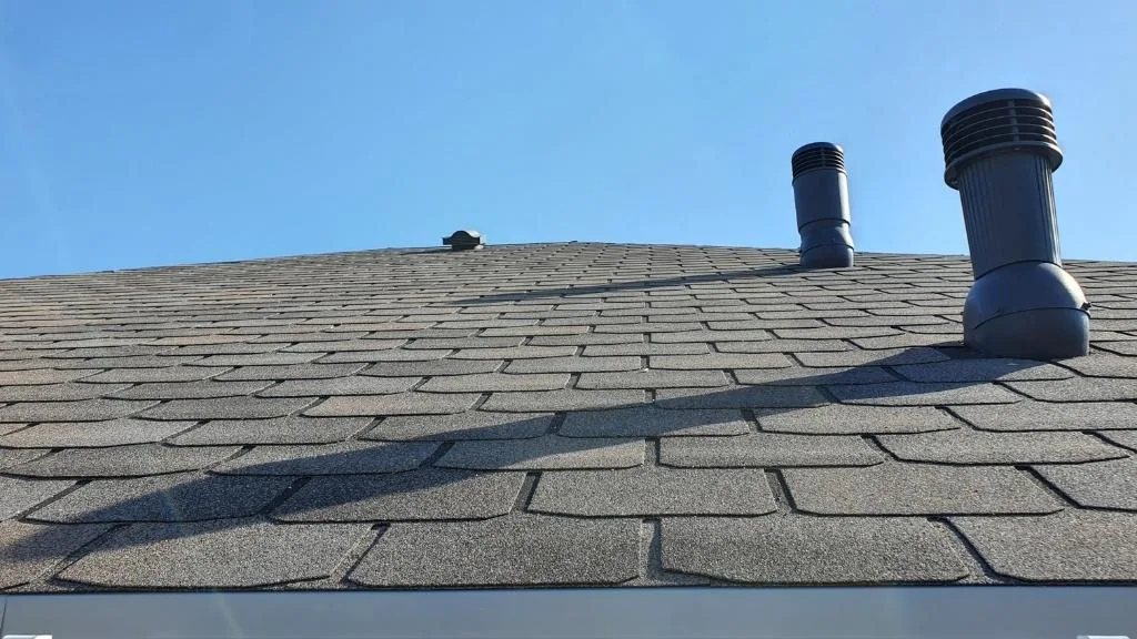 What Should Be the Best Roof Material for Florida
