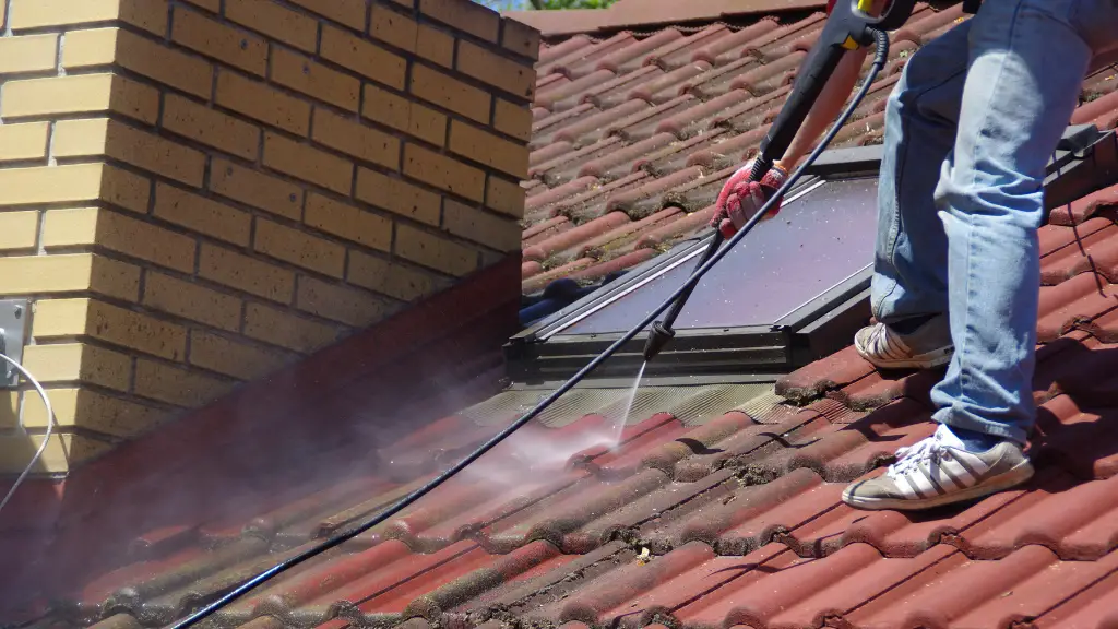 Helpful Insight for Cleaning Roof Mold