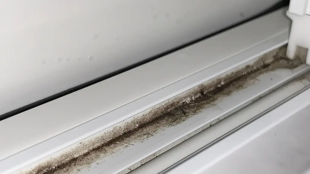 how to kill black mold on windowsills